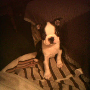 Meet your Posher, Trudy